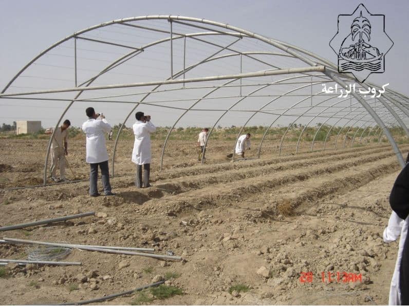 بناء الصوب الزراعية