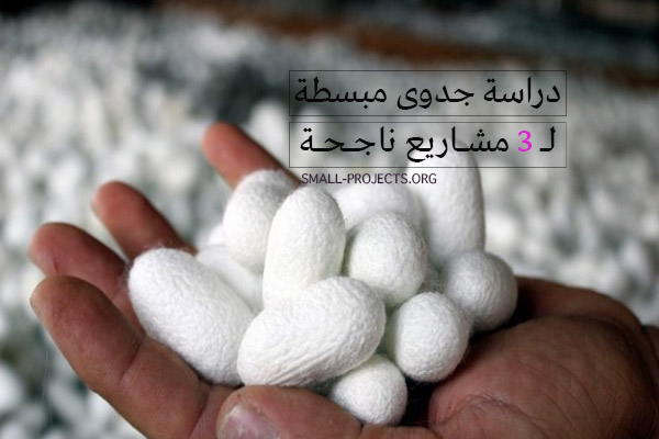 دراسة جدوى مبسطة